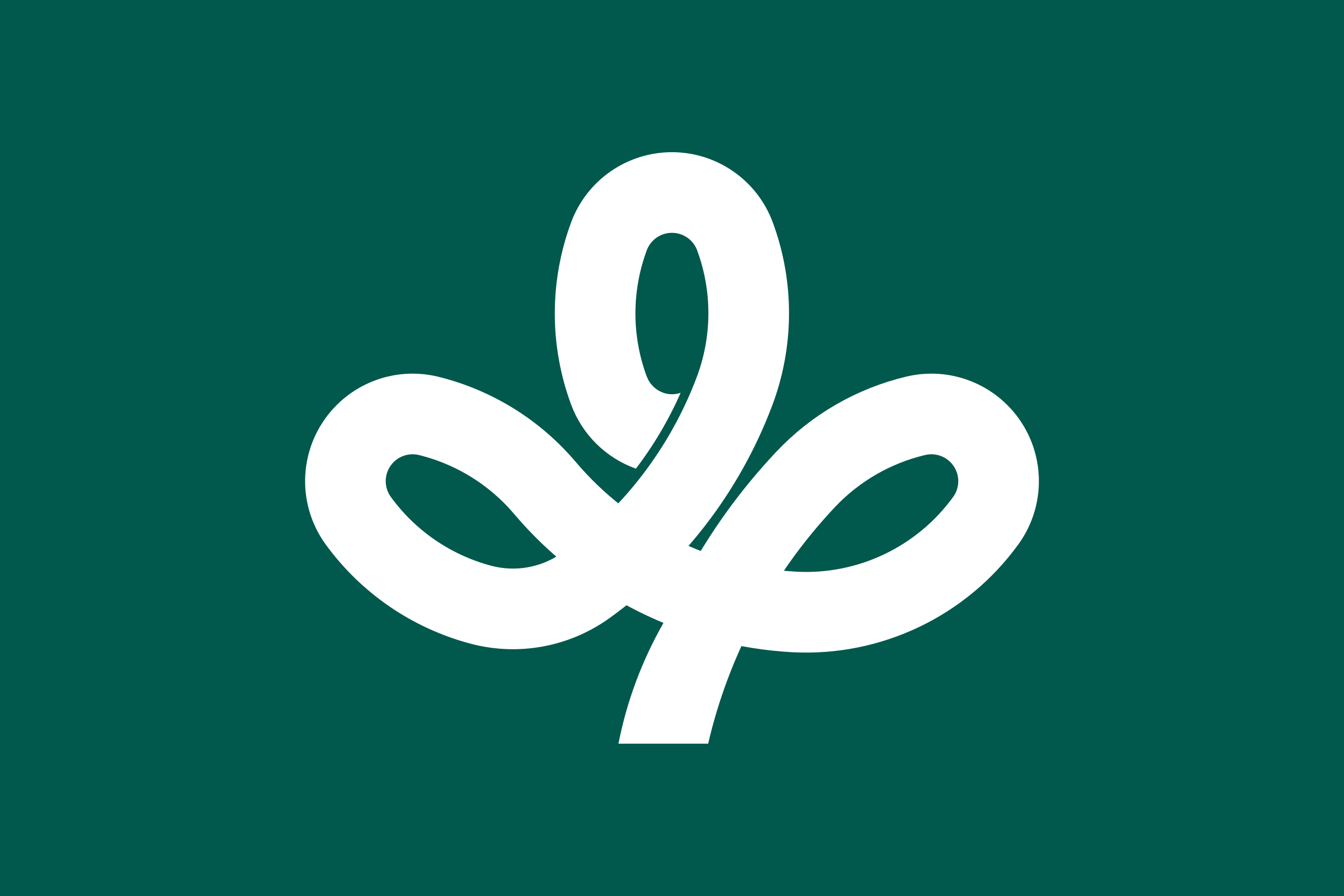 miyagi flag